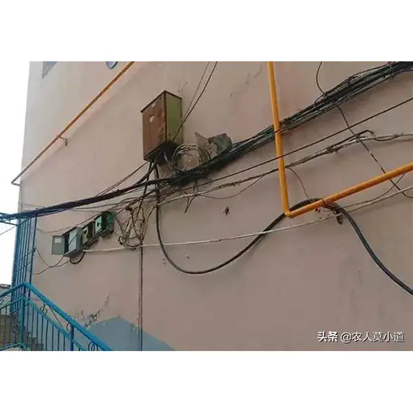 R-Ce6s